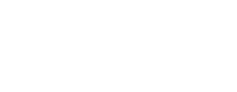 Netter Madagascar